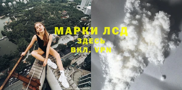 PSILOCYBIN Струнино
