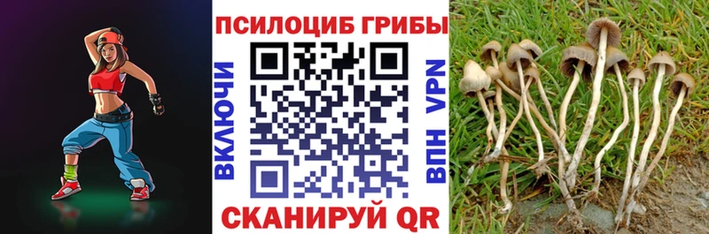 Галлюциногенные грибы Magic Shrooms  даркнет сайт  OMG зеркало  Заинск 