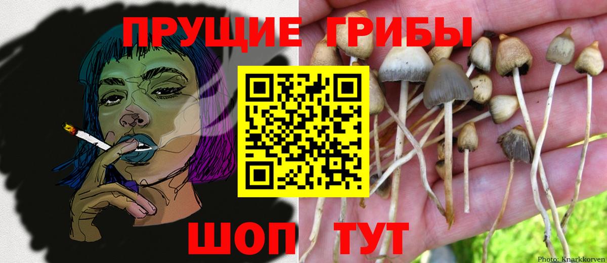 Галлюциногенные грибы мухоморы Заинск