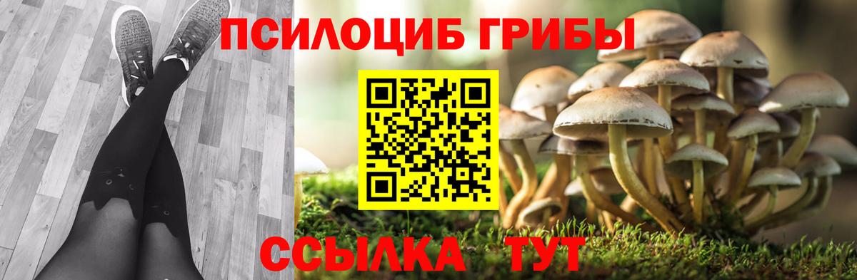 Заинск  Псилоцибиновые грибы MAGIC MUSHROOMS  закладка  Галлюциногенные грибы прущие грибы  Вход с VPN 